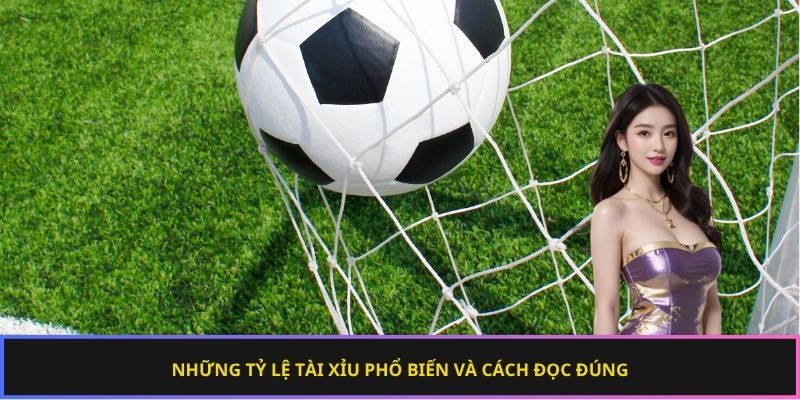 Những tỷ lệ tài xỉu phổ biến và cách đọc đúng